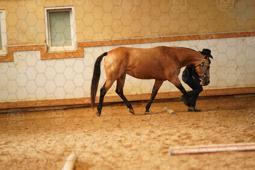 s_A9_07952.jpg